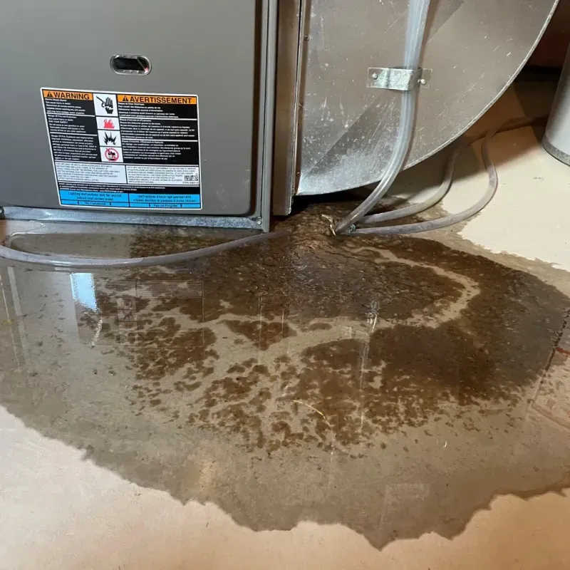 Appliance Leak Cleanup in Winterport, ME